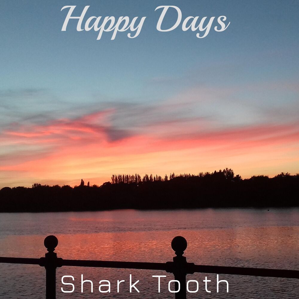 Picture of Shark Tooth
