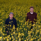 Pavelo & Schnell