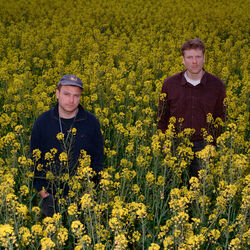 Picture of Pavelo & Schnell
