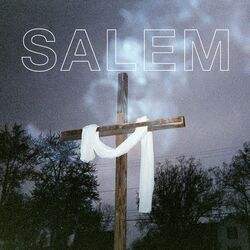 Picture of Salem