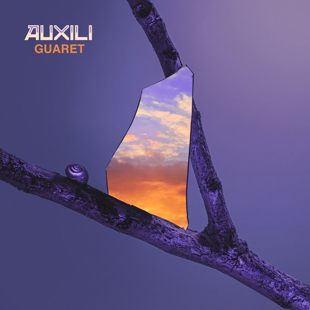 Picture of Auxili