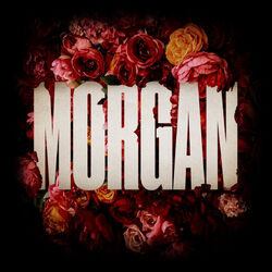 Picture of Morgan