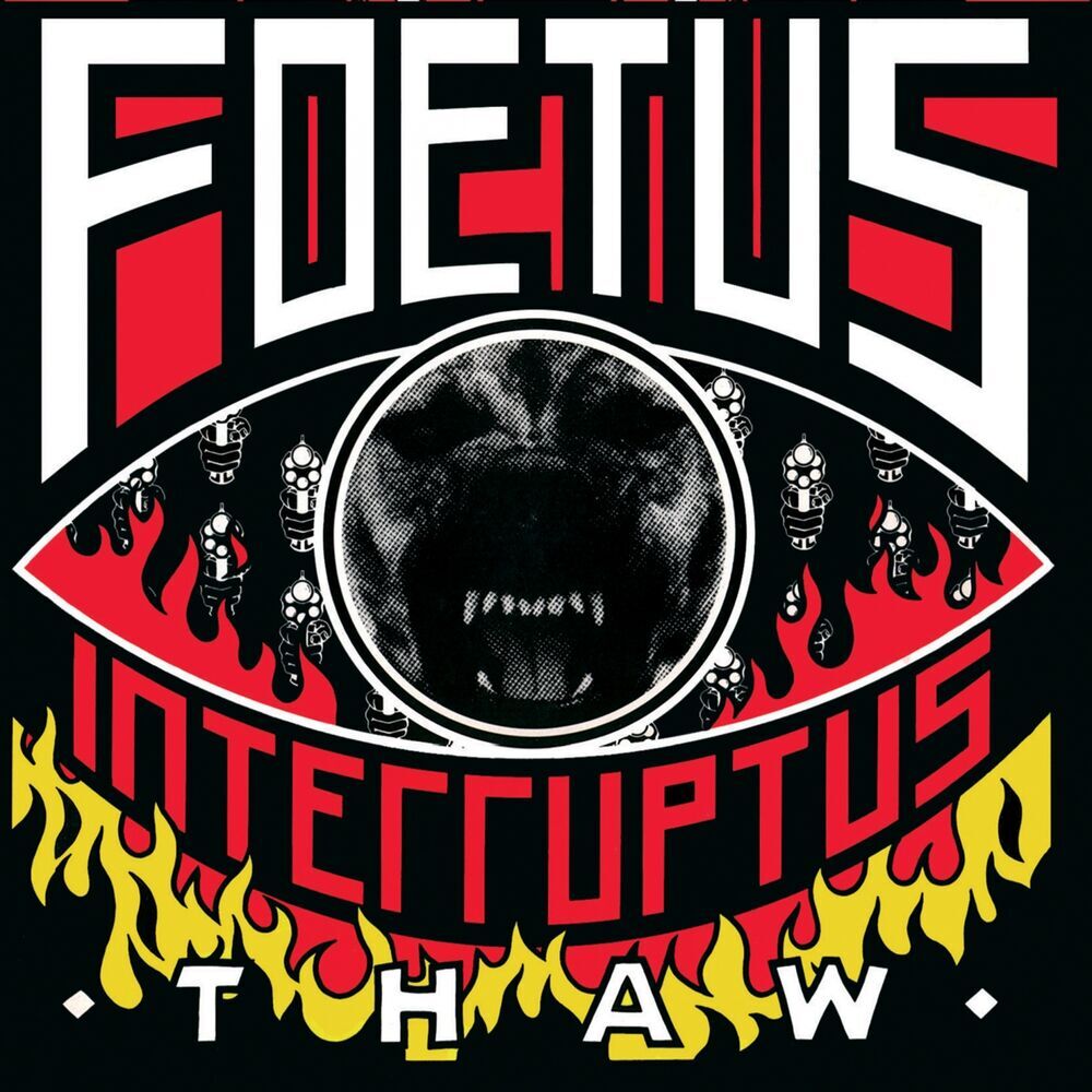 Picture of Foetus Interruptus