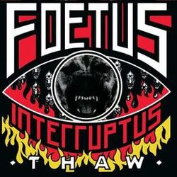 Picture of Foetus Interruptus