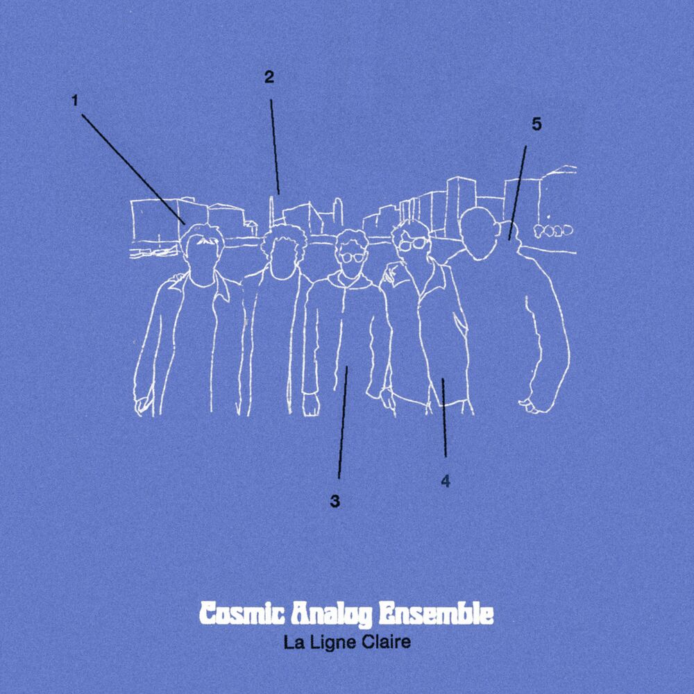Picture of Cosmic Analog Ensemble