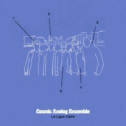 Picture of Cosmic Analog Ensemble