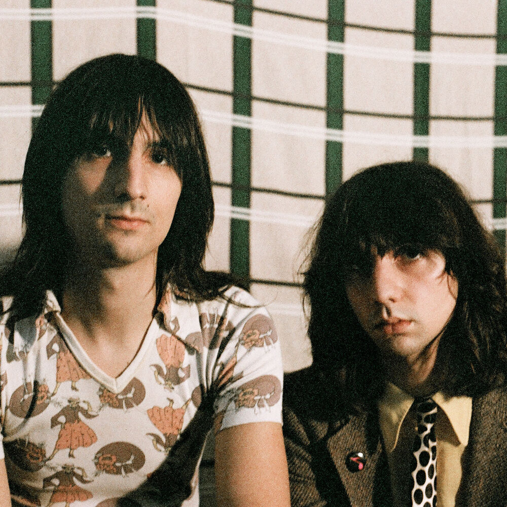 Picture of The Lemon Twigs
