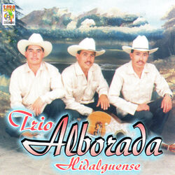 Picture of Trio Alborada Hidalguense
