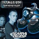 DJ Gizmo