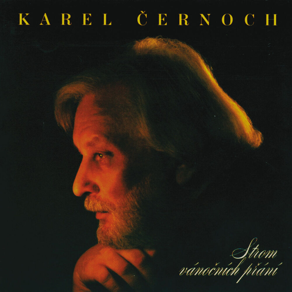 Picture of Karel Cernoch