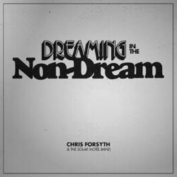Picture of Chris Forsyth & The Solar Motel Band