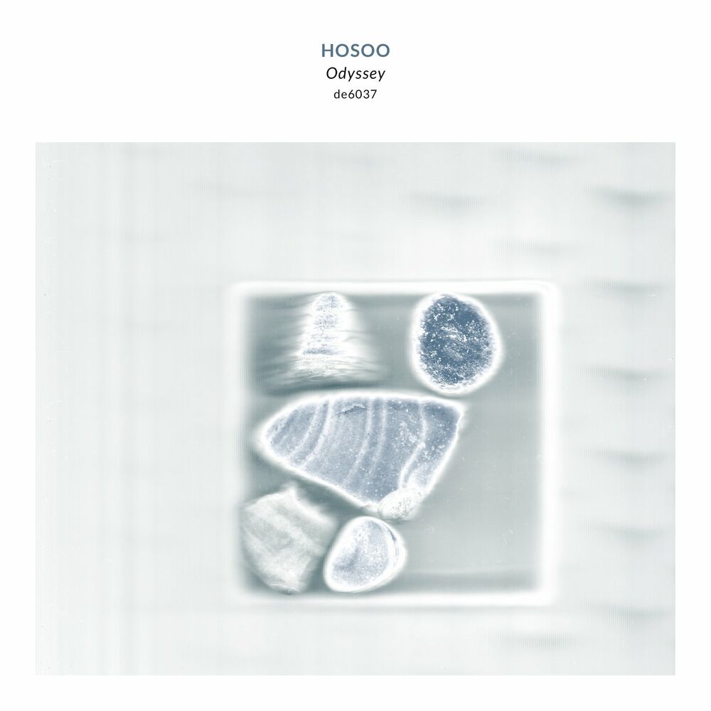 Picture of Hosoo