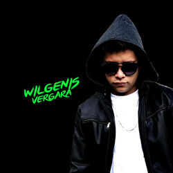 Picture of Wilgenis Vergara