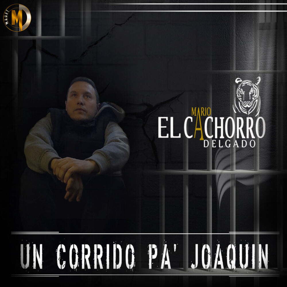 Picture of Mario El Cachorro Delgado