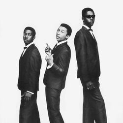 Picture of The Wailers Band