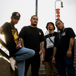 Picture of THR Cru2