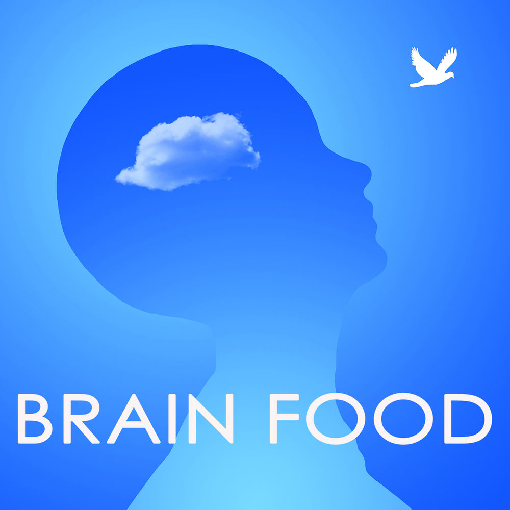 Brain Study Music Specialists