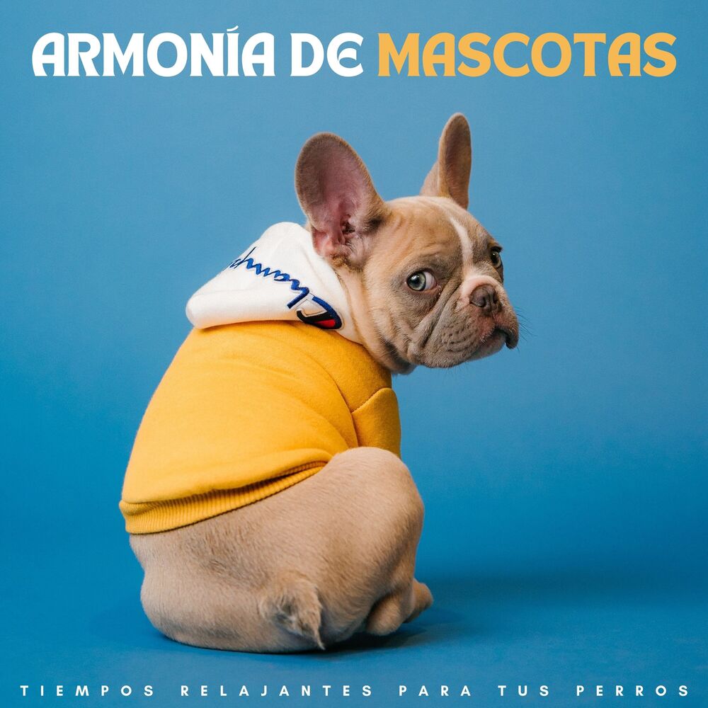 Picture of CALMANTE PARA PERROS