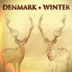Denmark + Winter
