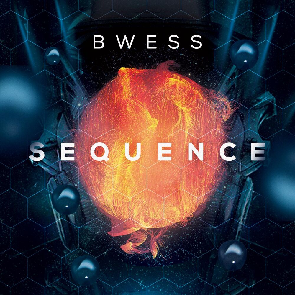 Picture of BWESS