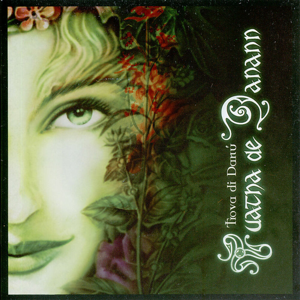 Picture of Tuatha De Danann