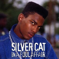 Picture of Silver Cat