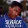 Image of Silver Cat