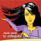 Mucho Macho