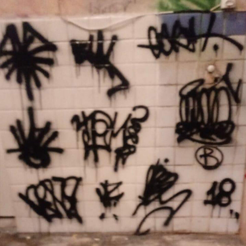 Picture of Coletivo Bronx