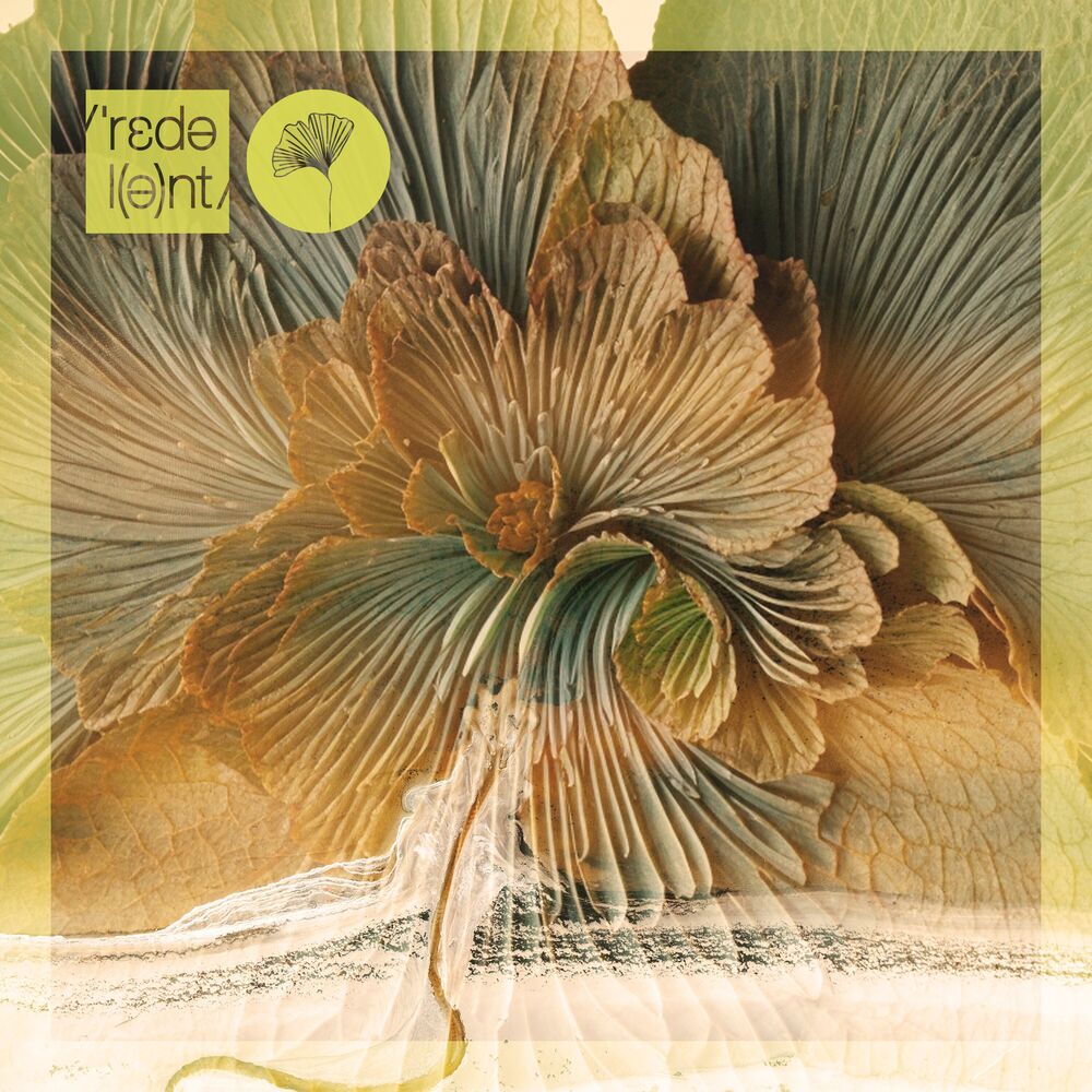 Photo de l'artiste Sounds Of Rituals