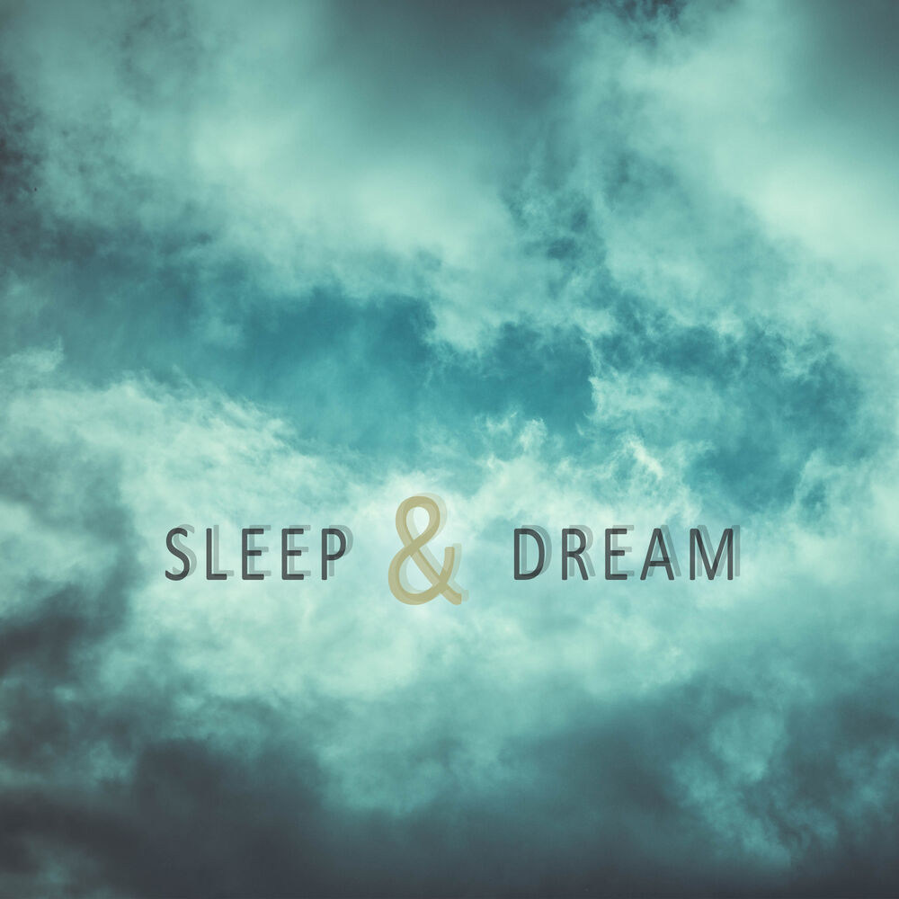 Picture of Long Sleep Experts