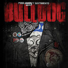 Bulldog