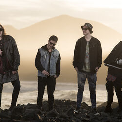 Picture of Summer Thieves