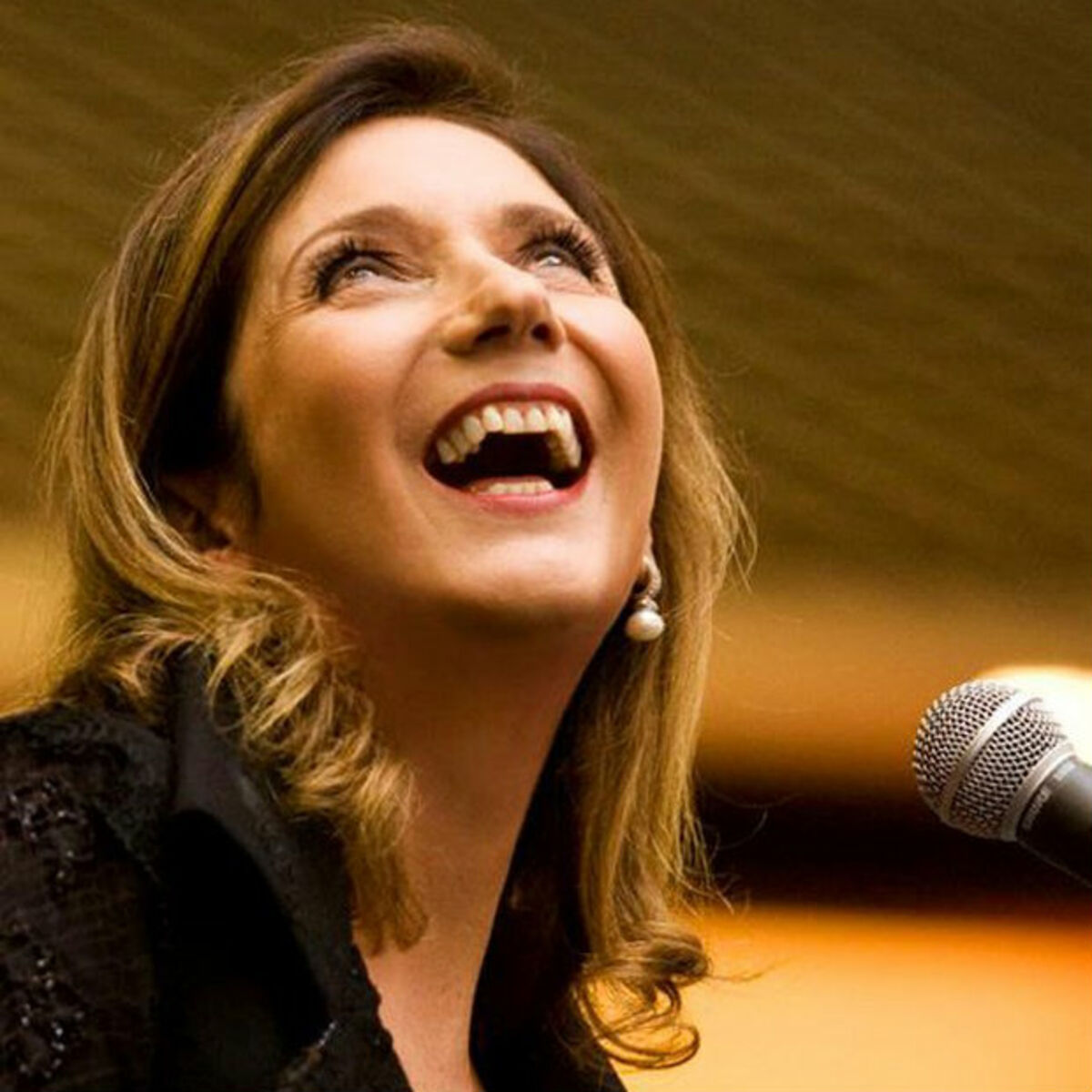 Artist picture of Zizi Possi