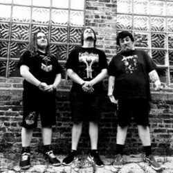 Picture of Molder