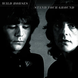 Picture of Wild Horses