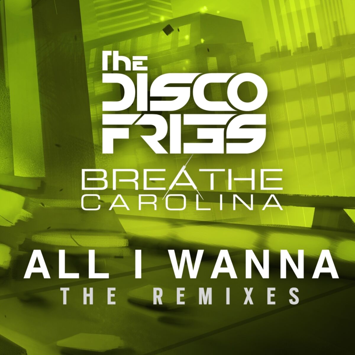 Artist picture of Disco Fries