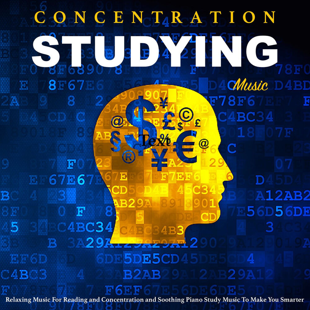 Picture of Concentration Studying Music Academy