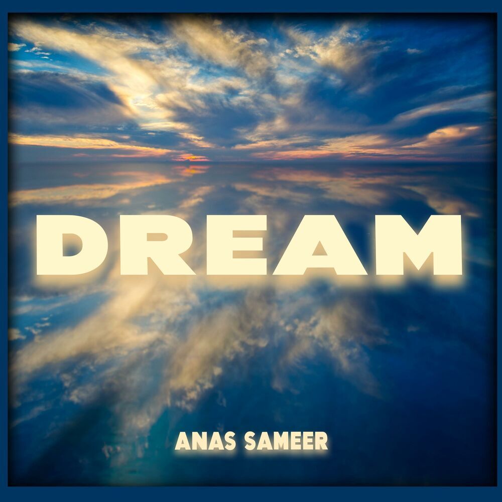 Picture of Anas Sameer