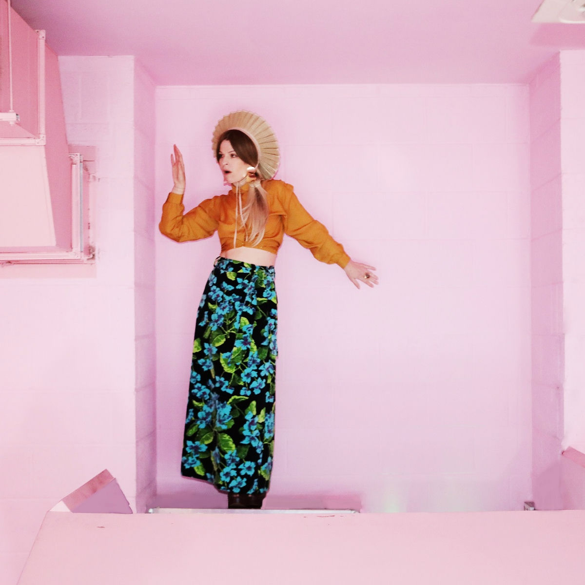 Artist picture of Jesca Hoop