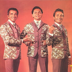 Picture of Trio Irakitan
