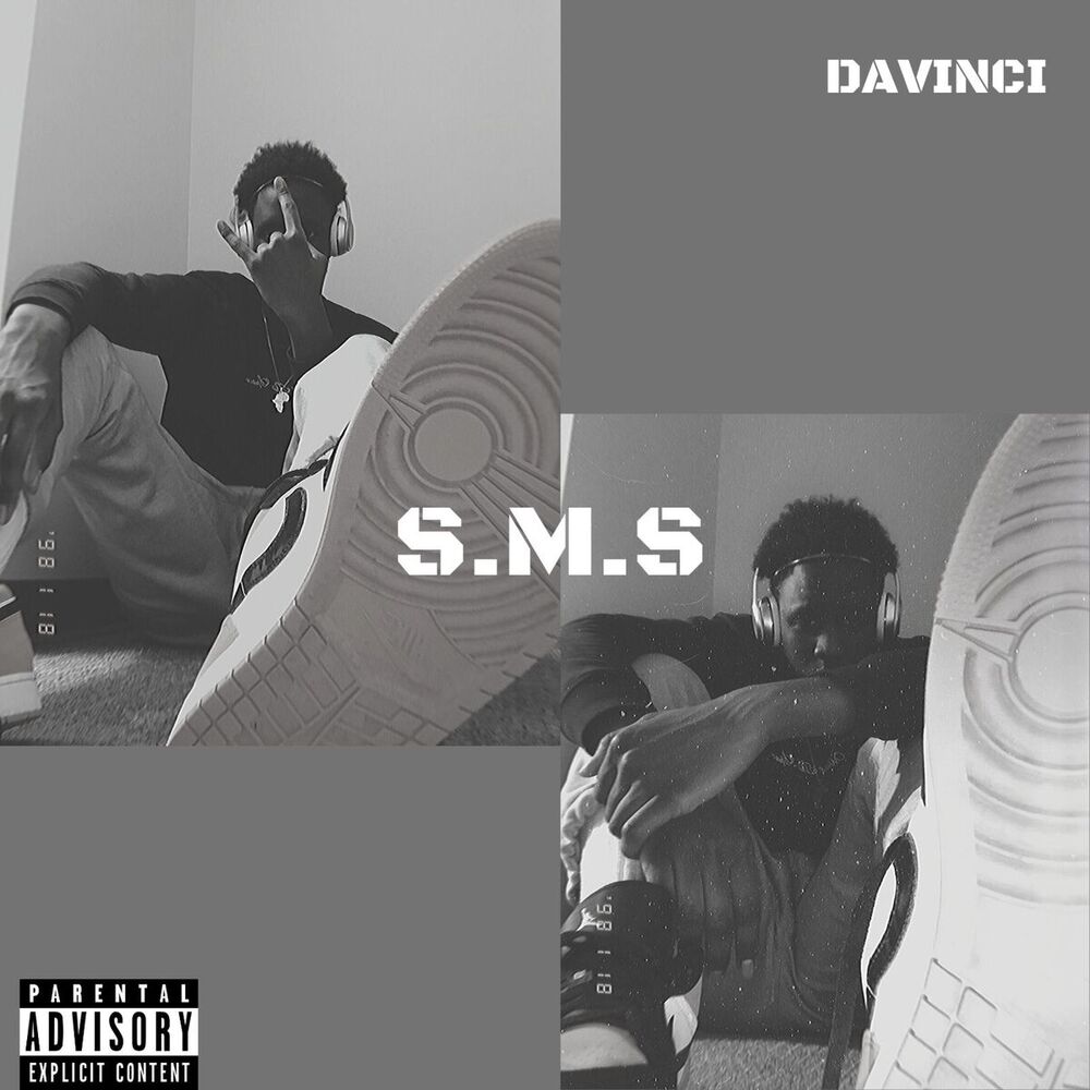 Picture of Davinci