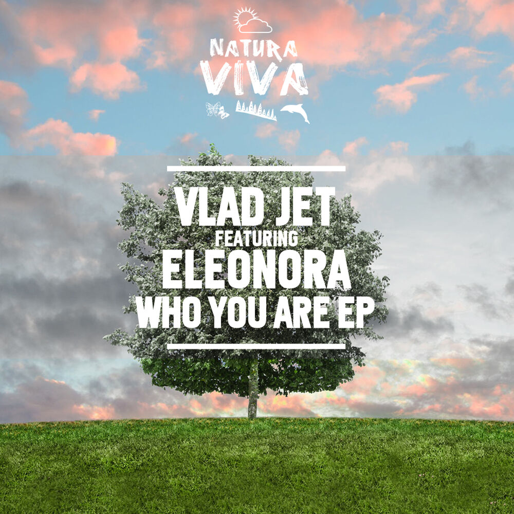 Picture of Vlad Jet
