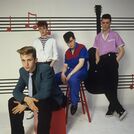 Polecats