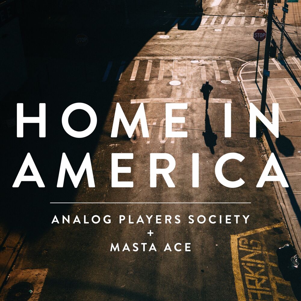 Photo de l'artiste Analog Players Society