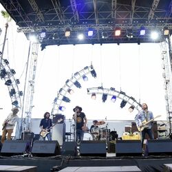 Picture of The Magpie Salute
