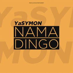 Namadingo