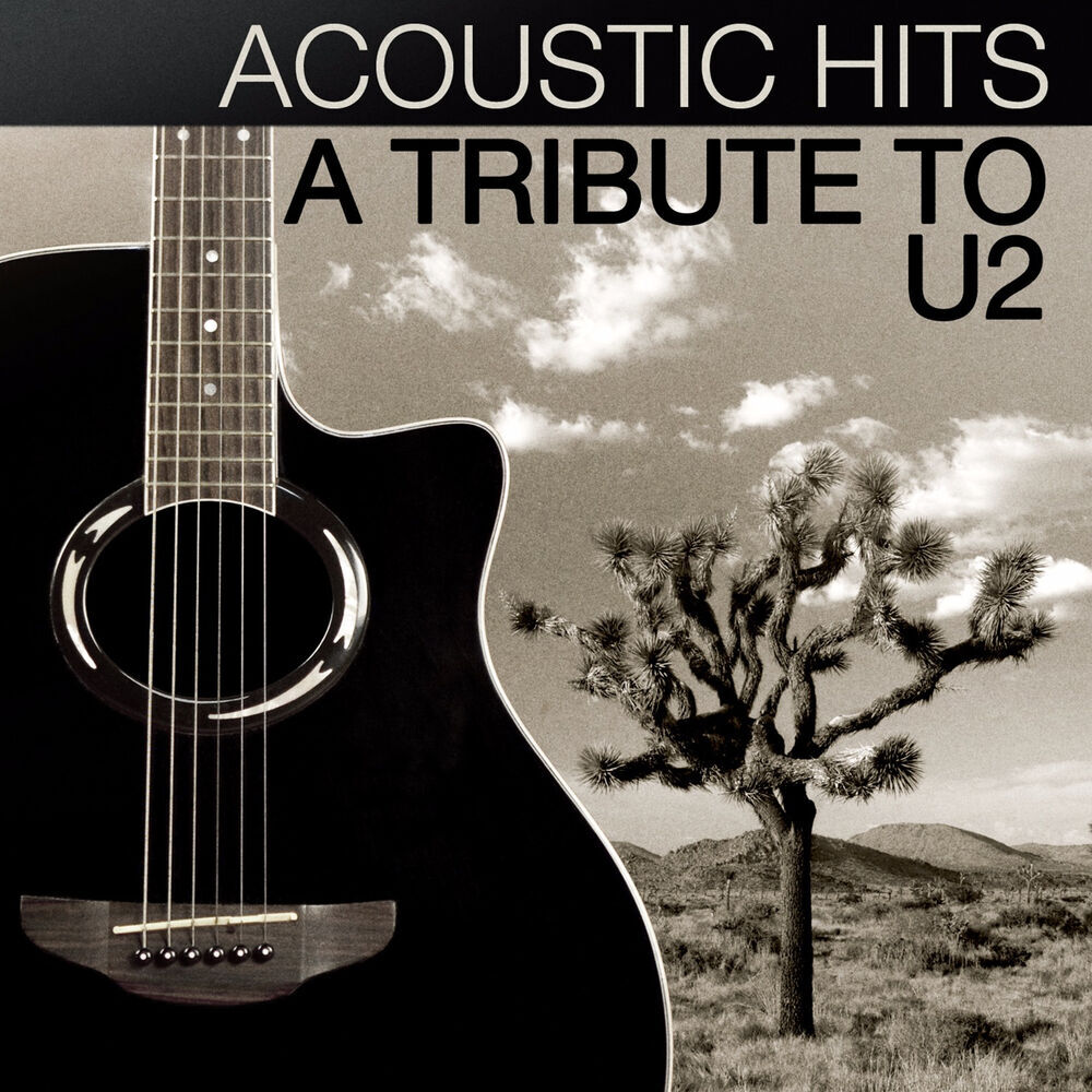 Picture of Acoustic Hits