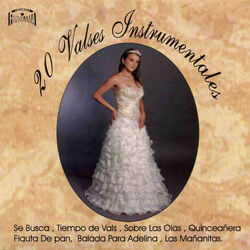Picture of Bodas y 15 Años