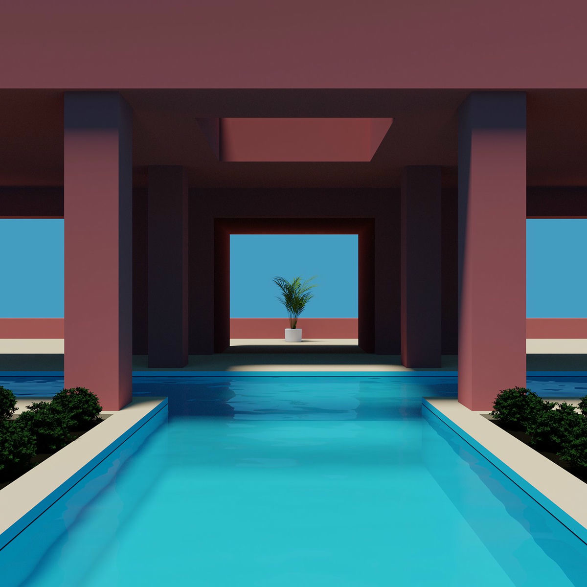 Adam Swim